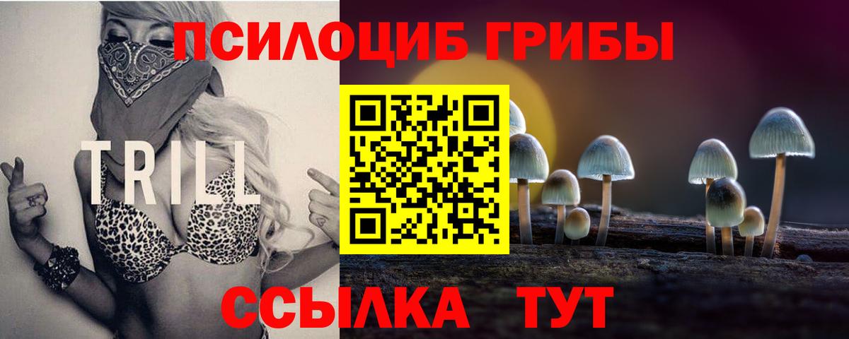 Псилоцибиновые грибы GOLDEN TEACHER  Вход с VPN  Нововоронеж 